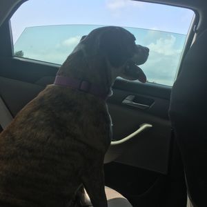 Meet your Posher, Kevin